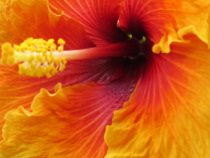 Preview - Click to zoom